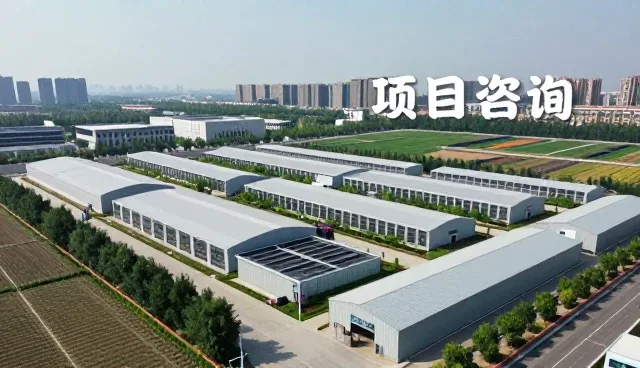 法律风险评估报告使用技巧分享